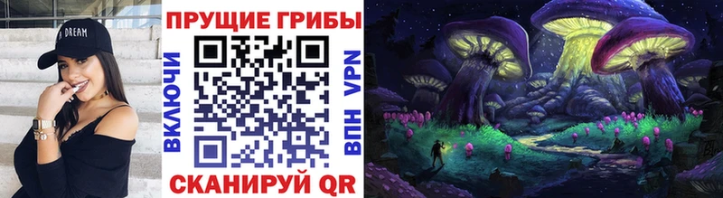 Псилоцибиновые грибы мицелий  Тюкалинск 